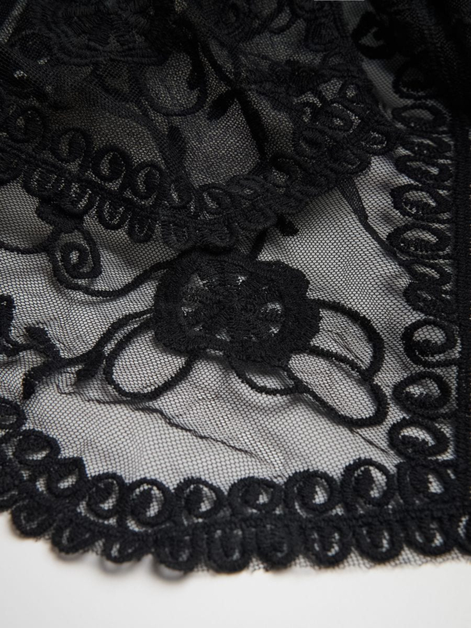 עליונית חוף